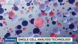 Single-Cell Analysis Breakthroughs Have Been Incredible, 10X Genomics CEO Says News Clip