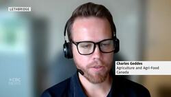 Researchers looking for solutions to tenacious Prairie weeds harming agriculture News Clip