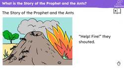 Muslim stories: The Ants Instructional Video