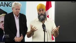 NDP leader says the ‘idea of Kamala Harris presidency is incredible’ Instructional Video