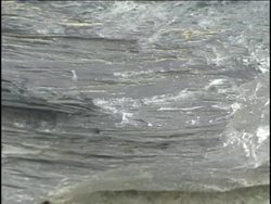 The Theory of Continental Drift Instructional Video