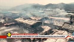 South Korea battles raging wildfires News Clip