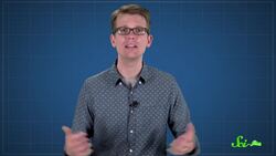 Do You Really Have a New Body Every 7 Years? Instructional Video