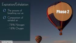 HST-AP Introduction to the Respiratory System Instructional Video