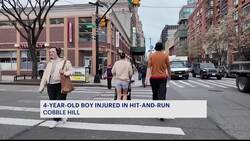 4-year-old boy recovering after hit-and-run in Cobble Hill News Clip
