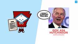 67% of Americans Oppose these New Laws: The New Anti-Transgender Laws Explained - TLDR News Instructional Video