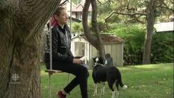 Ottawa councillor’s leave denied over harassment allegations News Clip