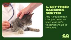 10 Tips On How To Get Cheaper Pet Insurance I The Money Edit Instructional Video