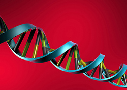 Inheritance: Part 2 Instructional Video