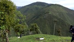 CLEAN : Peace reigns in Colombia's former guerrilla fiefdom News Clip