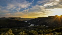 Douro Valley from the Sky: Portugal's Landscape Gem Stock Footage