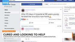 Could Plasma From COVID-19 Survivors Help Sick Patients? News Clip