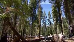 Sierra Nevada Snow Pack & Snow Melt Instructional Video