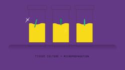 Modern Cloning Techniques Instructional Video