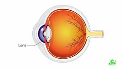 Some Of You Can See The Invisible Instructional Video