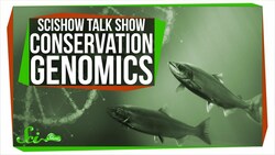 Conservation Genomics and Kizmit the Porcupine: SciShow Talk Show Instructional Video