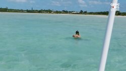 Life Through the Eyes of a Sea Turtle Instructional Video