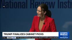 What comes next for President-elect Donald Trump's cabinet picks? News Clip