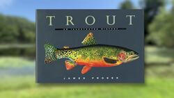 Made in Connecticut: Easton artist's passion for nature captures beauty and raises environmental awareness News Clip