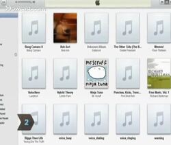 How to Add Songs to an iPod Instructional Video
