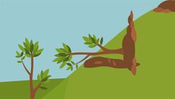 I WONDER - What Problems Does Soil Erosion Cause? Instructional Video