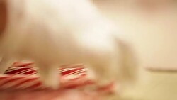 Making Candy Canes Stock Footage