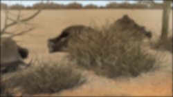 Dozens of elephant carcasses found near Botswana wildlife sanctuary Instructional Video