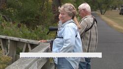 Bird watchers flock to Raritan bayfront to see rare roseate spoonbill News Clip