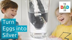 How to Make a Silver Egg Instructional Video