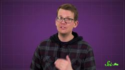 Why Thai Shrimps Parade on Land Instructional Video