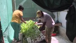 CLEAN : 'Starting from nothing': despair for Peruvian climate migrants News Clip