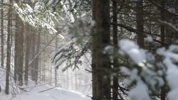 ‘Give yourself grace’: Managing mental health 1 year into the pandemic News Clip