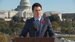 Canadian evacuees from Gaza will be 'properly supported,' Trudeau says News Clip