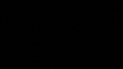 CLEAN : Chechen associations react to violence in Dijon News Clip