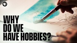 Why Do We Have Hobbies? Instructional Video
