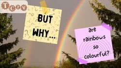 TCTV's But Why... Are Rainbows so Colourful Instructional Video