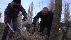 Sir Ed Davey volunteers in Horsham News Clip