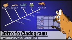 Intro to Cladograms and Phylogenetic Trees Instructional Video