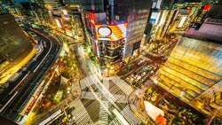 Japan Local Companies Instructional Video