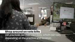 Money Saving Tips On Looking After Your Puppy Instructional Video