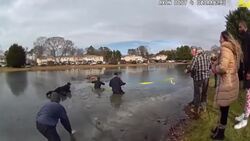 Dramatic video shows rescue of eight-year-old who fell through ice of frozen pond on Christmas Day Instructional Video