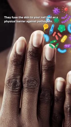 Your cuticles aren't just for aesthetics #shorts #science Instructional Video