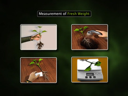 Plant Growth Instructional Video