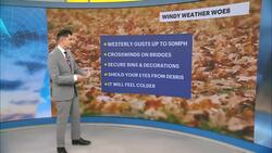 WIND ALERT: Strong gusts between 30-50 mph cross New Jersey today News Clip