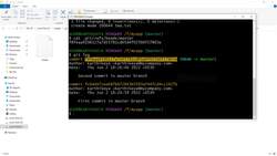 Git and GitHub Masterclass - Fast track your Journey to Git! - Branches in Action (Creating Branches and Exploring the Git Repo) Instructional Video