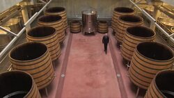CLEAN : Burgundy wines make jump to organic production News Clip