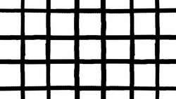 What Is The Shape of Space? (ft. PhD Comics) Instructional Video