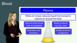 Understanding the Components of Blood: Plasma, Red and White Blood Cells, and Platelets Instructional Video