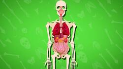 I WONDER - What Job Do The Bones Do? Me Pregunto - Qué Función Cumplen Los Huesos? Instructional Video