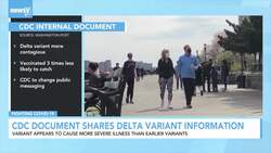 CDC Sends Out New Information On Delta Variant News Clip